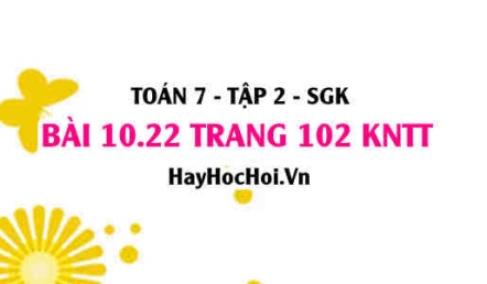 Bài 10.22 trang 102 Toán 7 Tập 2 Kết nối tri thức